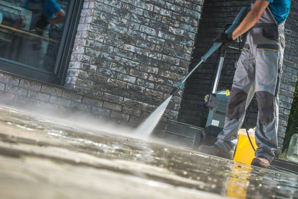 Best Sidewalk and Walkway Cleaning  in Camden, AR