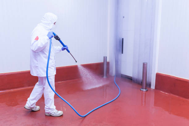 Best Driveway Pressure Washing  in Camden, AR